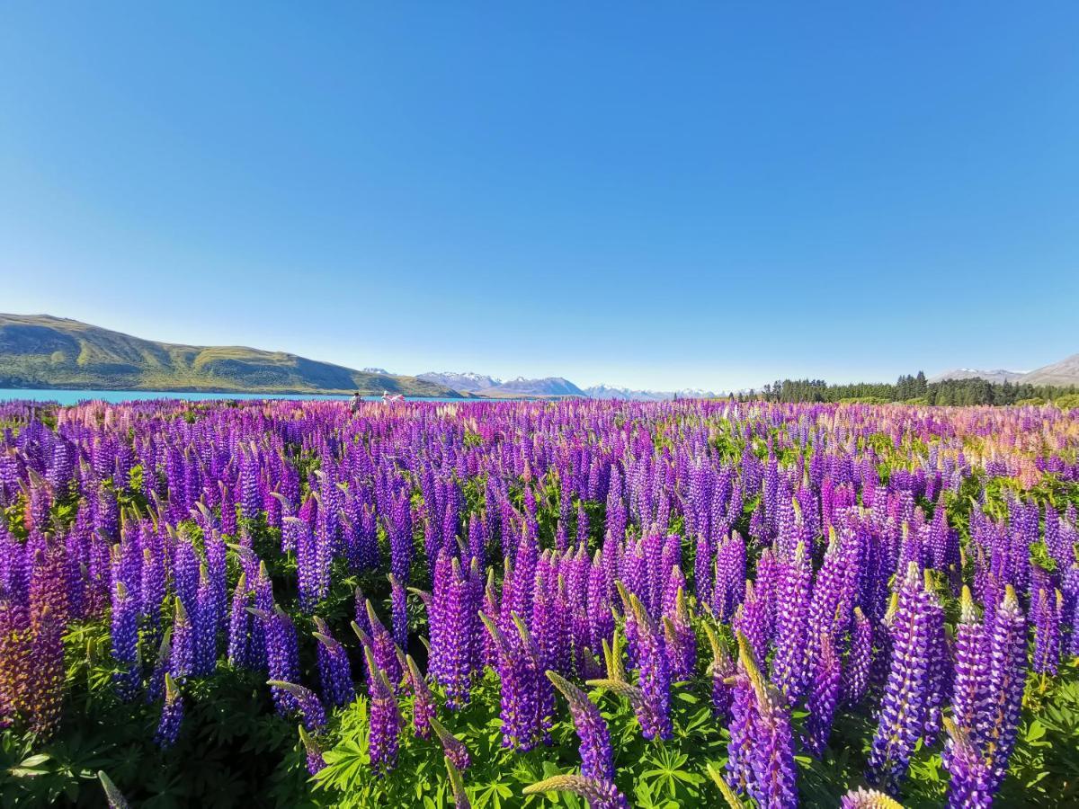 Skyrim Lodge Lake Tekapo Exterior foto